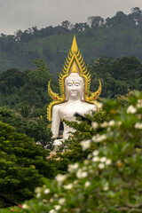 Big Buddha statue, set in the forest, on the mountain, tree background, beautiful in Thailand