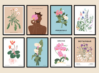 Bohemian collection of woman portrait and botanical illustrations for wall art gallery	