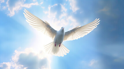 A white dove with wings wide open in the blue sky air with clouds and sunbeams. Spirit of god background banner panorama. Generative Ai © tong2530