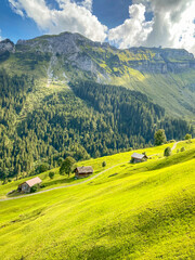 Switzerland landscape in the summer