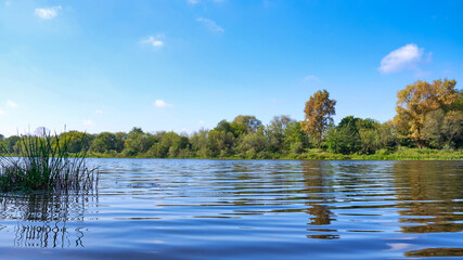 Landscape with a river and trees against a blue sky on a sunny day