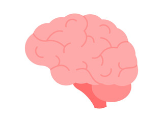 Brain icon. Human brain graphic with stem and cerebellum. Convolutions of the brain. Side view. Central nervous system. Cerebrum hemisphere simple icon. Pink mind symbol. Vector illustration. 