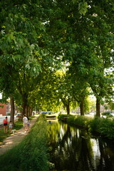 A picture clicked in The Netherlands