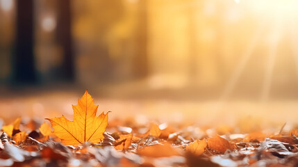 Naklejka na ściany i meble Autumn background with blur and leafs