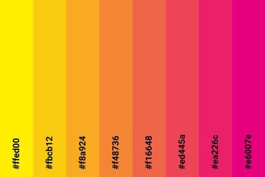 Abstract Colored Palette Guide. Table color shades. Color harmony. Trend colors. Vector illustration EPS 10 File.