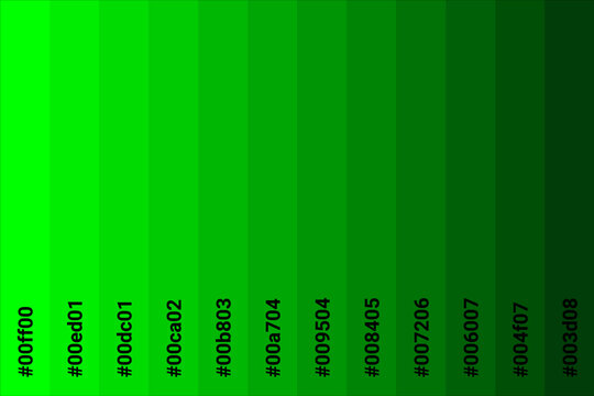 Color palette dark green to light green with color code. Tone color guide. Vector illustration EPS 10 File.