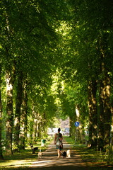 A picture clicked in The Netherlands