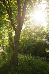 A picture clicked in The Netherlands