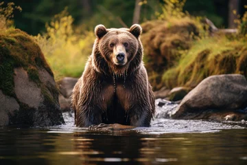Keuken spatwand met foto Brown bear grizzly at the watering hole © Veniamin Kraskov