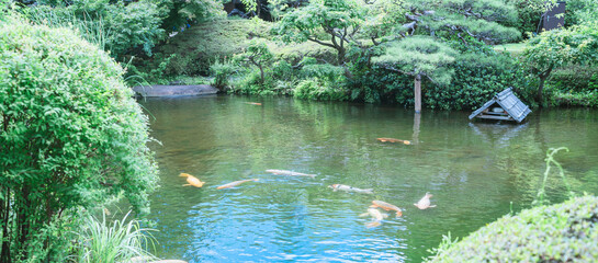 日本庭園の風景