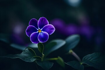 An evocative photograph showcasing a solitary violet in diverse settings
