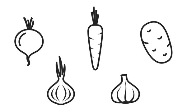 root crops line icon set. beetroot, carrots, onion, garlic and potato. vegetable, agriculture and harvest symbols