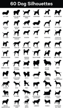 Set of dog breeds silhouettes isolated on white background
