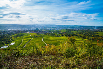 Germany, Stuttgart urban city skyline vineyard panorama view autumn nature landscape above roofs...