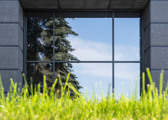 window and grass