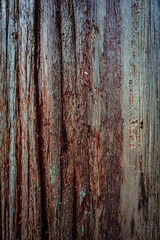 Old wood texture