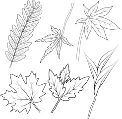 Set of autumn leaf coloring sheet, autumn falling leaf line drawings, hand drawing leaves line art,  Black silhouettes of grass, flowers, and herbs. Cute flower vector illustration in hand drawn style