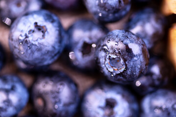 Freshly picked blueberries as background. blueberries closeup