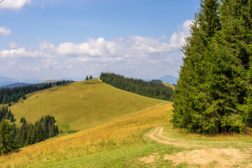 Carpathian Mountains