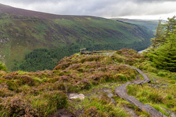 Trail viewpoint in Wicklow mountain