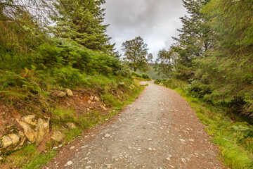 Trail in wicklow mountain