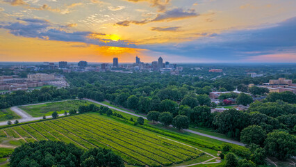 Raleigh Skyline at Sunset with Urban Greenery and Sunflowers
