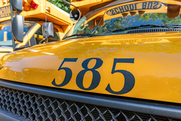 Front of a parked yellow school bus number 585