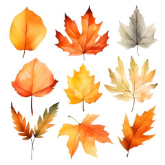 Watercolor painting Realistic Autumn natural leaves set botanical on white background.