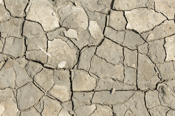 Mud cracks in close view on a shore in Normandy