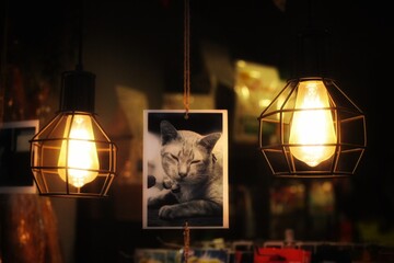 lantern in the night