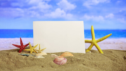 Fototapeta na wymiar Summer vacation. Seashell, starfish empty white card on sandy beach. Sea, sun, blue sky. Copy space