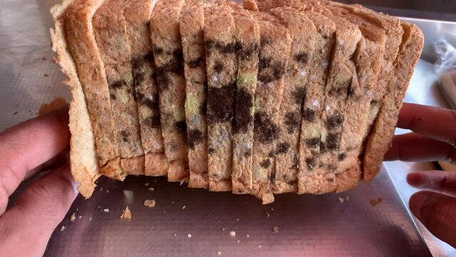 Close-up moldy brown bread slice, Fungi and bacteria in a brown bread slice, Dangerous slices of mold-covered bread, mold in bread.
