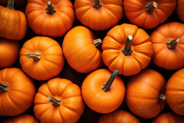 background of orange pumpkins, top view