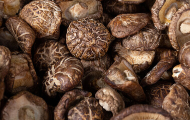 Pile of dried shiitake mushrooms for sale in market. The shiitake is an edible mushroom native to East Asia, which is cultivated and consumed in many Asian countries.