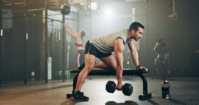 Man, dumbbell and weightlifting on bench in fitness, workout or arm exercise at indoor gym. Serious male person, bodybuilder or athlete lifting weight in sports training, health and wellness at club