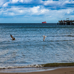 Two seagulls fly low over the waves at a beach with a lng tanker in the background