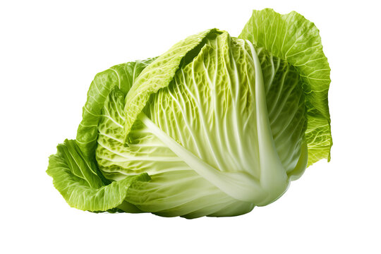 Fresh green cabbage isolated on transparent background with clipping path - high quality PNG image of healthy vegetable