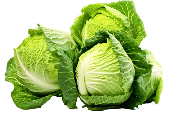 Fresh green cabbage isolated on transparent background with clipping path - high quality PNG image of healthy vegetable