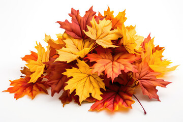 Pile Of Autumn Maple Leaves On White Background . Сoncept Changing Seasons, Colorful Leaves, Home Decor Ideas, Fall Foliage