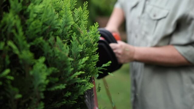 Woman gardener trimming overgrown bush by electric hedge trimmer. Pruning thuja. Gardening tool in slow motion video