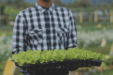 Hands holding big plate with different fresh farm vegetables. Autumn harvest and healthy organic food concept