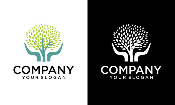The Best Natural Leaf Logo Abstract Leaf logo vector Best Natural Logo Maker