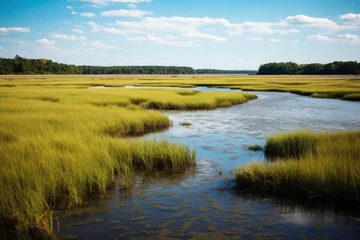 Gordijnen Landscape of wetland on a clear summer day. © July P