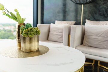 Home interior with decor wooden table and plants decoration interior design of living room