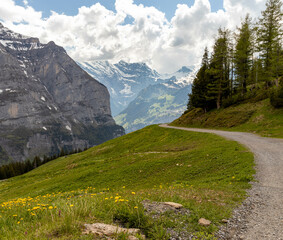 Path Leading Up the Swiss Alps in the Summer with Flowers in the Foreground and Mountains in the Background in Switzerland