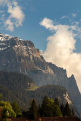Swiss Alps in Switzerland in the Summer with Mountains Peaking Through Clouds in the Background with Flowers in the Foreground