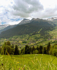 Fototapeta premium Buildings Sitting Along a Hill of the Swiss Alps in Switzerland in the Summer with Mountains Peaking Through Clouds in the Background