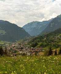 Fototapeta na wymiar Buildings Sitting Along a Hill of the Swiss Alps in Switzerland in the Summer with Mountains Peaking Through Clouds in the Background and Flowers in the Foreground