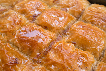 Traditional Turkish dessert Baklava. Close up of delicious crispy sherbet wallnut baklava on tray. Middle eastern flavors. Handmade baked pastry. Turkish homemade dessert