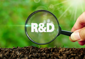 Hands holding magnifying glass focused on R&D text on the soil ground in garden with green natural background.Environmental friendly research and development, Sales, businesses concept. - obrazy, fototapety, plakaty